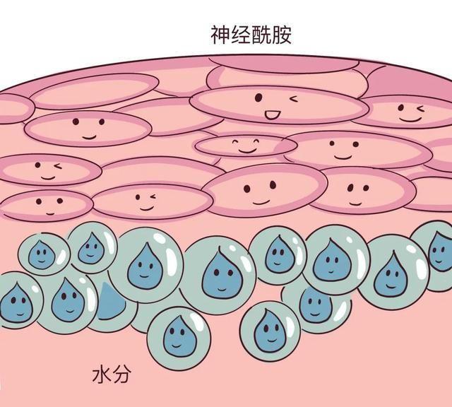 夏天，干皮和油皮哪个更惨？答案竟然是……