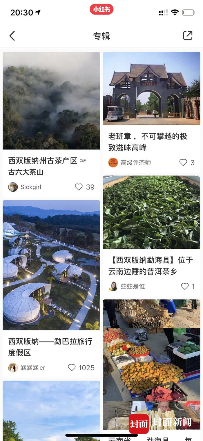 女生社交APP收藏的勐海旅游攻略