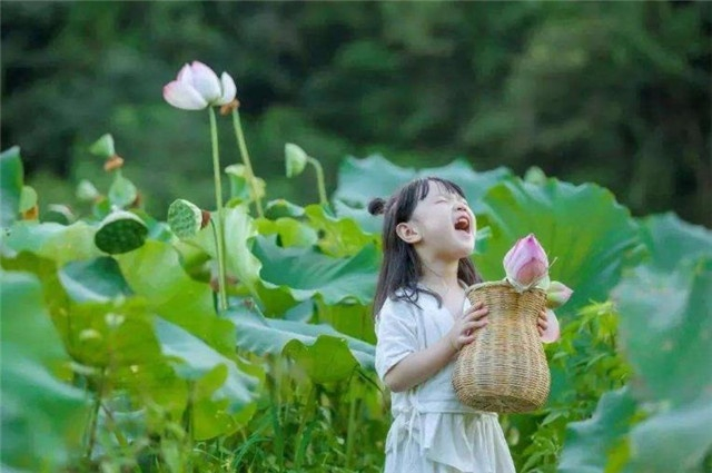 以花为前景花海人像,怎么构图好看?三分法、对角线构图效果较好_新浪新闻