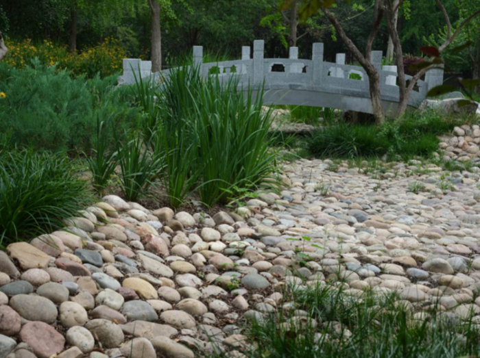 玉渊潭公园“会变身”的旱溪景观