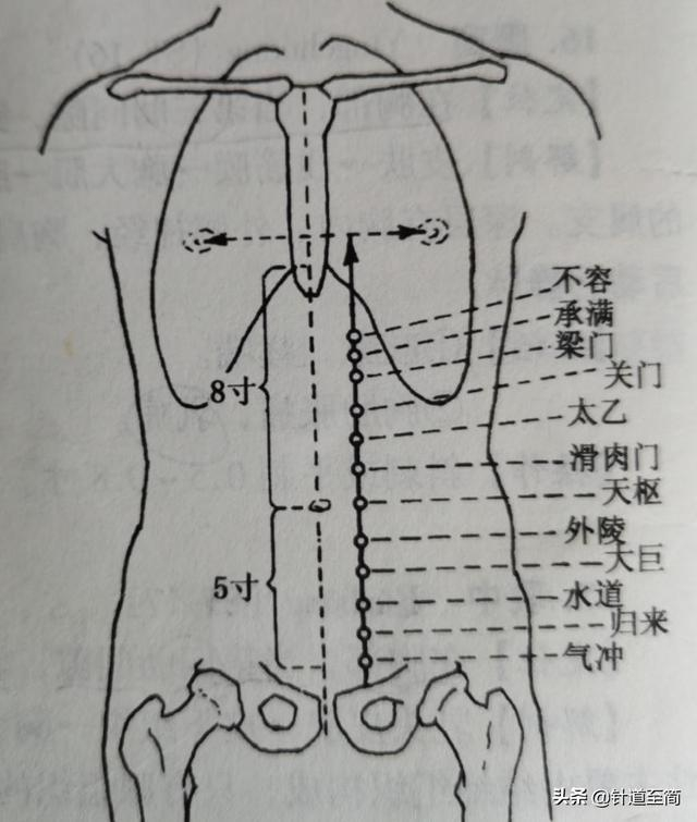 针道至简:十二经脉解读系列之足阳明胃经