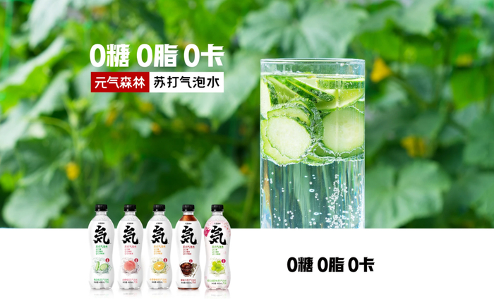 续航210KM元气熊充满多少度电