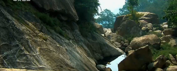 纪录片《香港生命线》截图