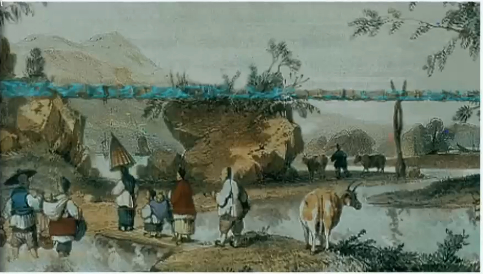 纪录片《香港生命线》截图