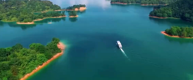 纪录片《香港生命线》截图