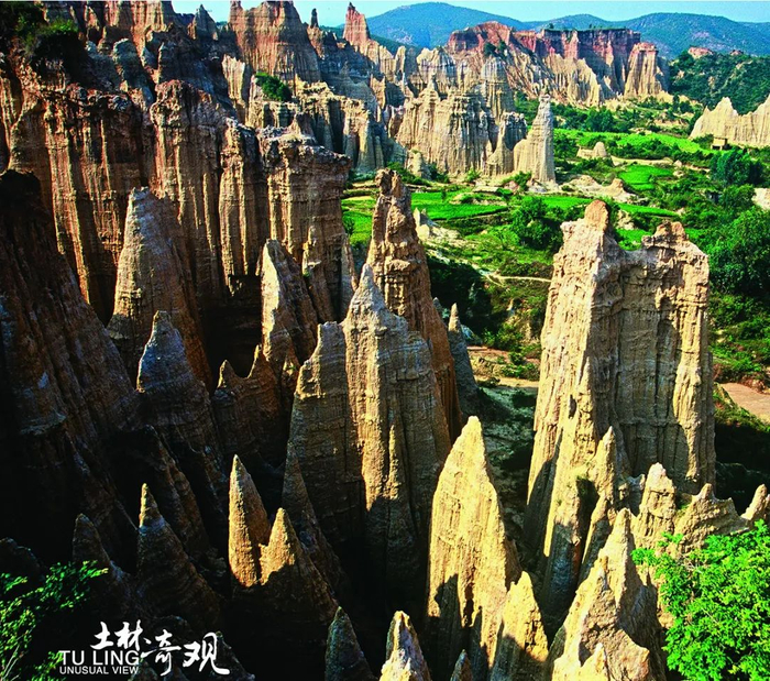 元谋土林 图源：元谋县人民政府网站