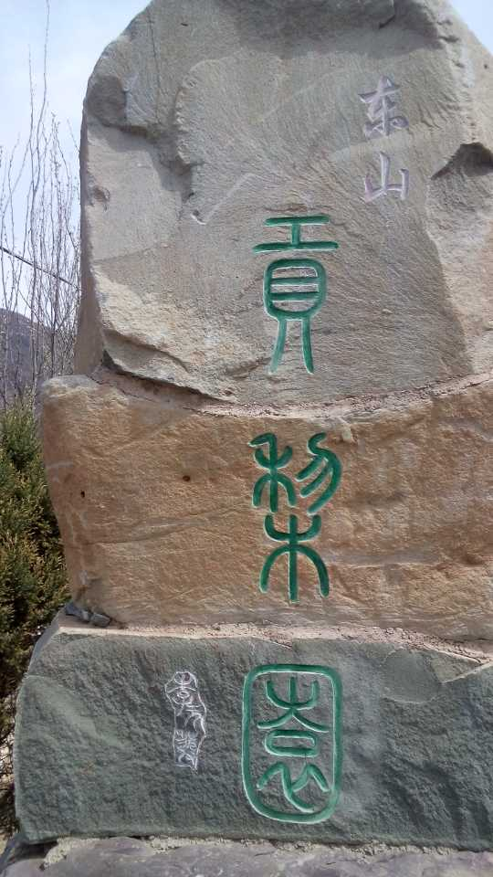 ▍贡梨园  摄影：岳强