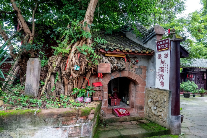 距成都40公里的古镇：一道街上三寺庙，庙内榕树还包裹着一小寺庙_新浪新闻