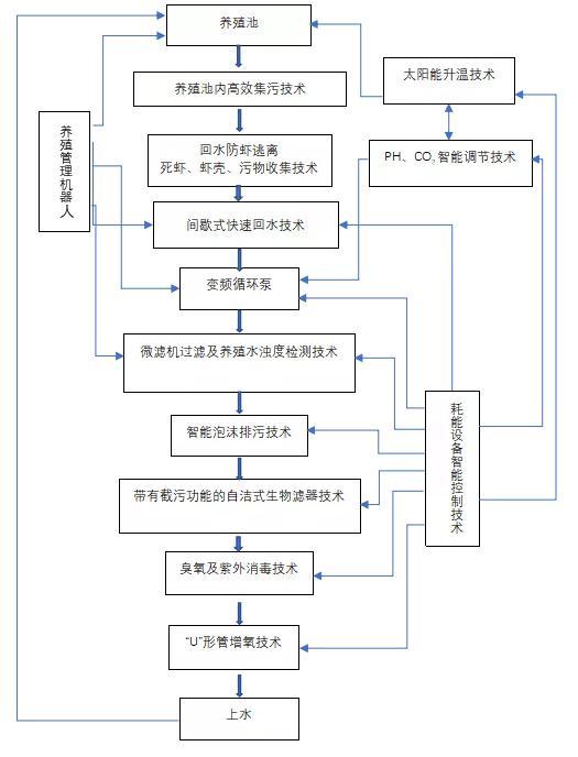 致富经养殖虾_致富经淡水虾养殖视频_致富经养虾