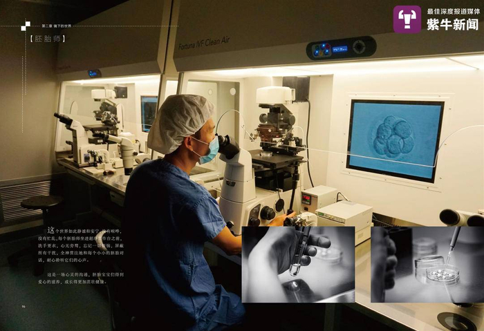 医生在进行对冷冻胚胎的观察