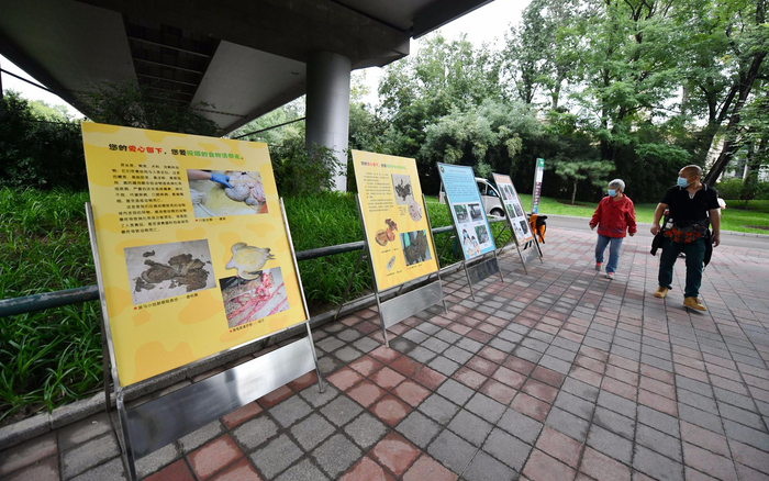 动物园在园区内放置了“游客不文明行为曝光台”。摄影/新京报记者 侯少卿