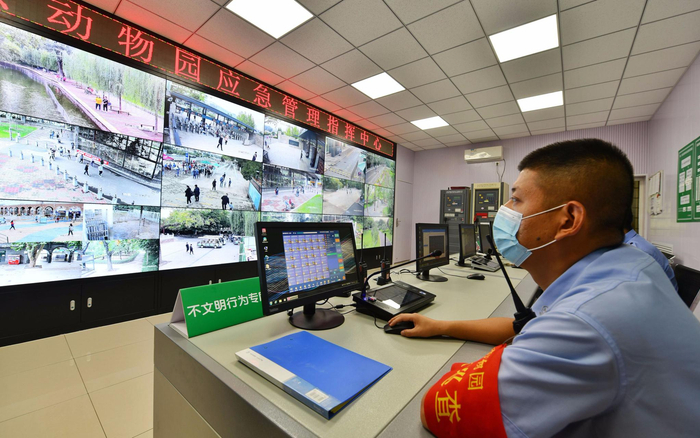 动物园应急管理指挥中心内的大屏随时监控园内情况。摄影/新京报记者 侯少卿