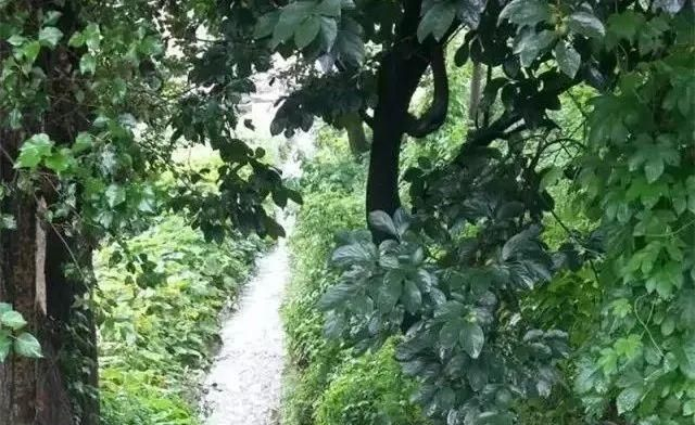 山西阳城:“十山九回头”的古村,明朝四大清官之首杨继宗故里!|阳城_新浪新闻