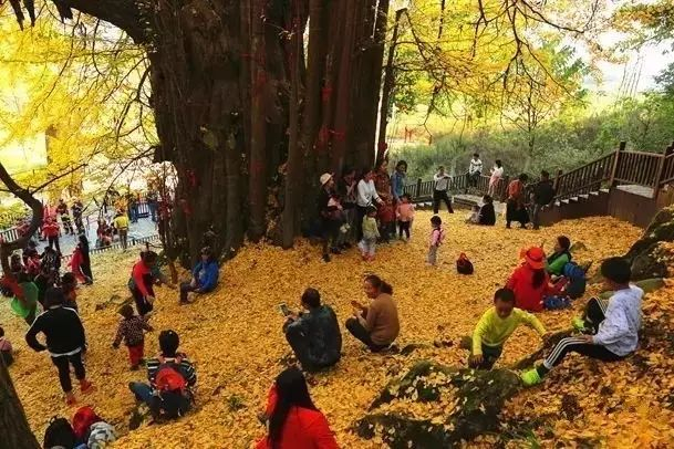 图片来源：黔南日报