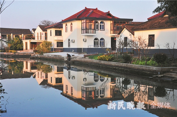 图说：青浦区金泽镇莲湖村 新民晚报记者 杨建正 摄 