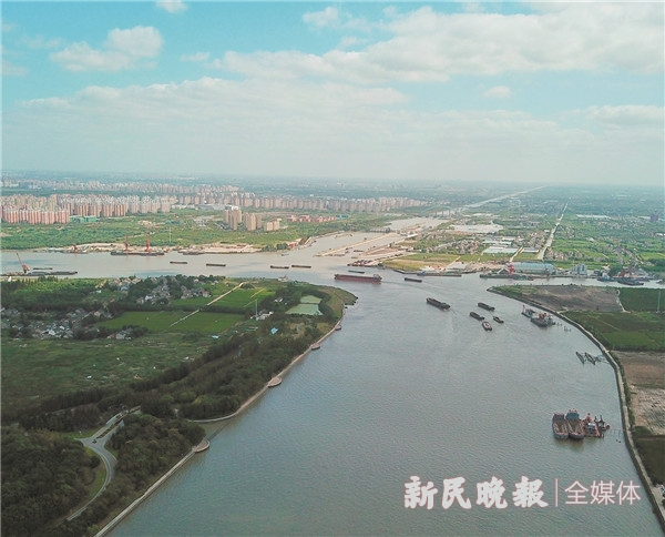 图说：闵行区吴泾镇浦江第一湾公园 新民晚报记者 张龙 摄