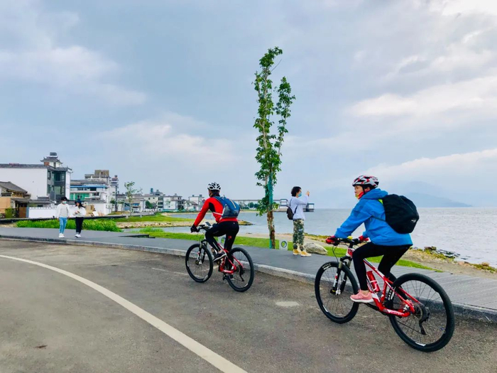 游客在大理生态廊道骑行 丁怡全 摄