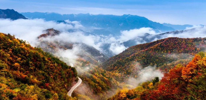 城口彩叶 图：重庆日报