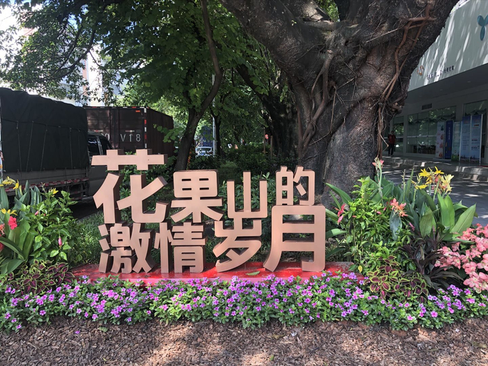 曾是蛇口工业区配套生活区的花果山社区。新京报记者向凯 摄