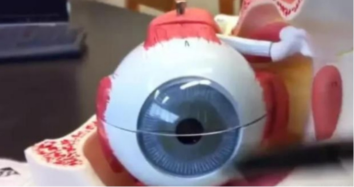 用望远镜看太阳会怎么样？科学家用猪眼做测试，来看结果