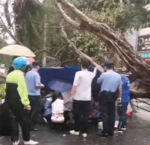 市民合力救人。（网友报料视频截图）