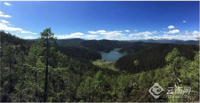 香格里拉普达措国家公园。孙晓云 摄