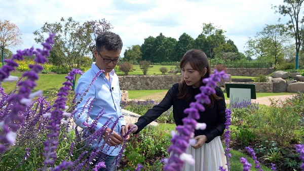 图说：跟随专家云端赏花  采访对象供图（下同）