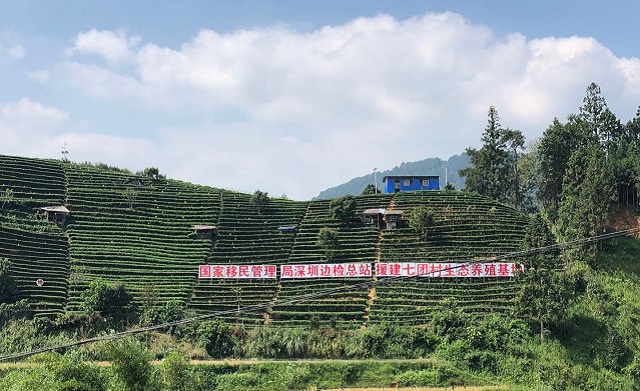 图为深圳边检总站援建的同乐乡七团村生态养殖基地
