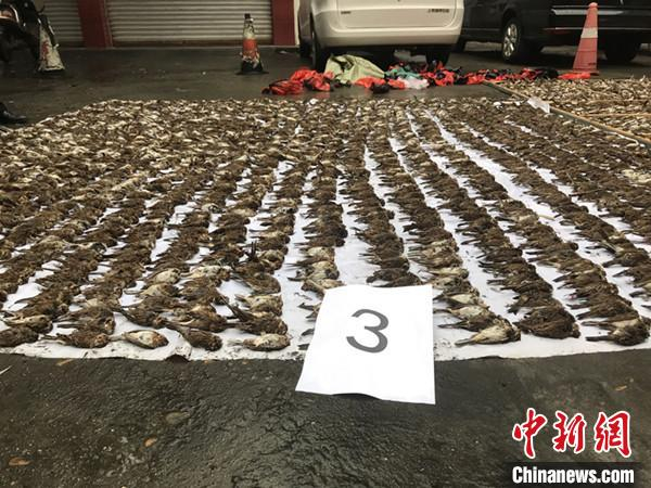 捕获的野生动物。三台公安局供图