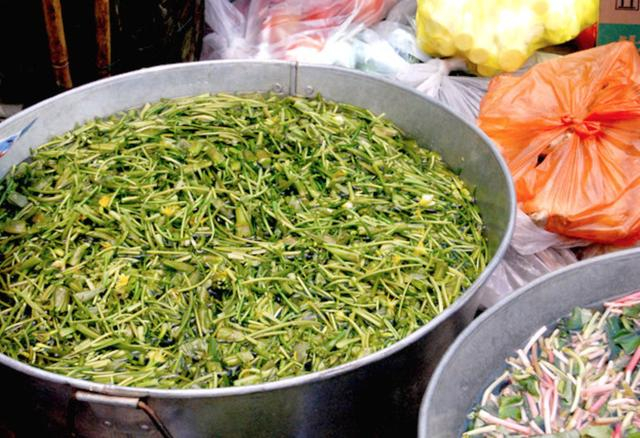 别再说她“水性扬花”!这位网红重现大理,与环境变化还有关系?