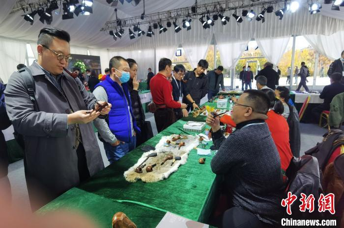 烟斗客在挑选烟斗 张桂芹 摄