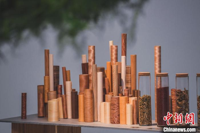 图为艺术家用木头制作的艺术品。　原美术馆供图 摄