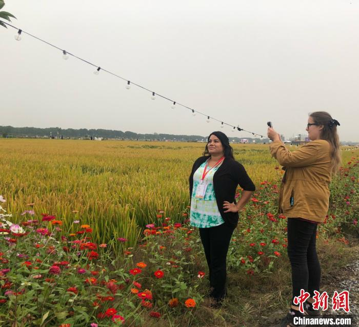 在稻田里“凹”造型拍美照。 唐娟 摄