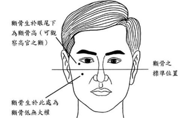 面相|鼻相|額頭_新浪新聞