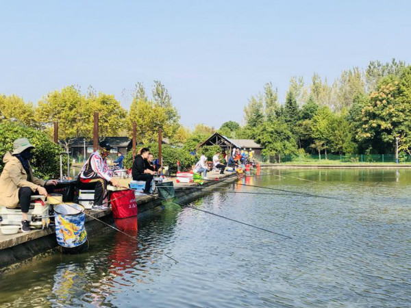 图说：垂钓爱好者欢聚一“塘”、以“渔”会友。华亭镇供图