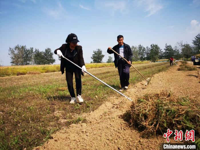 收获季节，村民的增收梦想变为现实。　陆祁国　摄
