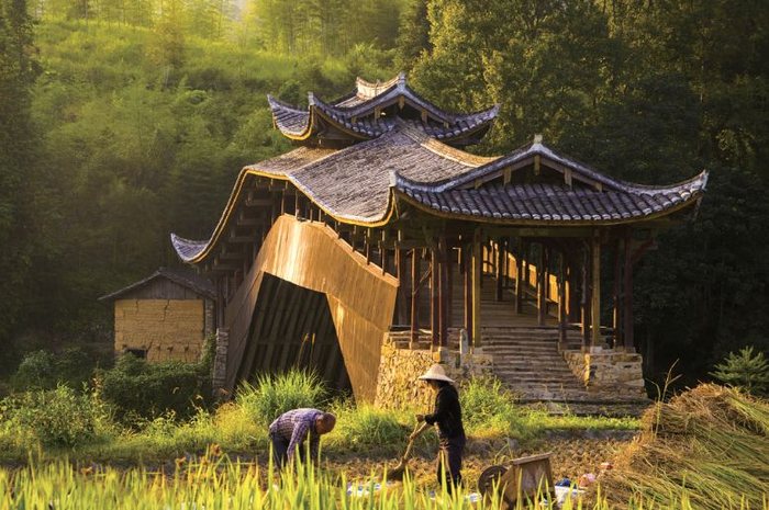 廊桥秋色。钱德旗 摄 图片来源：温州发布