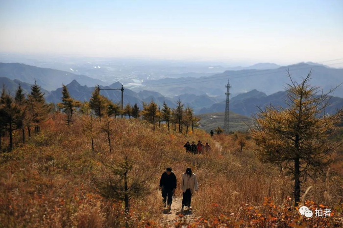 △&nbsp;2012年10月14日，妙峰山秋色。摄影/新京报记者王远征