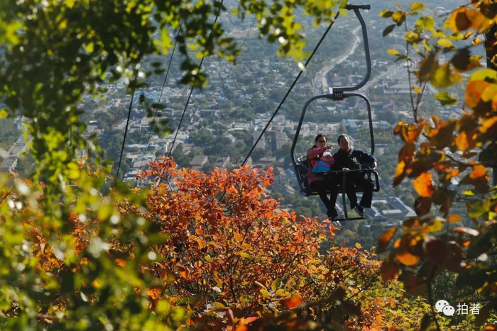 △&nbsp;2020年10月17日，香山公园，游客坐缆车赏红叶。摄影/新京报记者侯少卿
