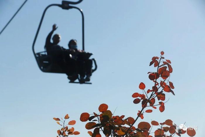 △&nbsp;2020年10月17日，香山公园的红叶与来此赏秋的游客。摄影/新京报记者侯少卿