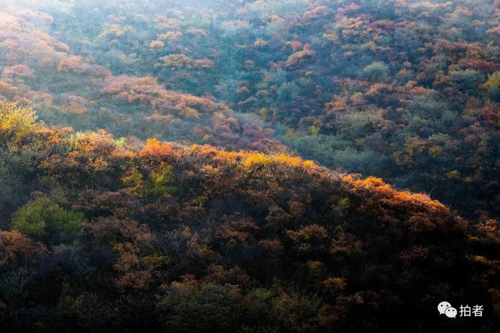 △&nbsp;2019年11月5日，深秋时节的北京西山，五彩斑斓，犹如天然画卷。图源：视觉中国
