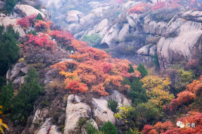 △&nbsp;2019年11月3日，北京，雨后的凤凰岭风景区秋色惹人醉。图源：视觉中国