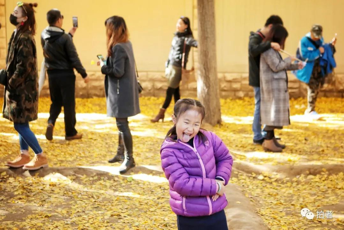 △&nbsp;2017年10月29日，北京著名“银杏大道”——三里河路钓鱼台国宾馆东墙外侧路段，扮“鬼脸”的小女孩。摄影/新京报记者王嘉宁