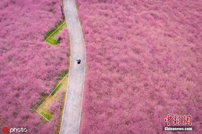 图片来源：ICphoto