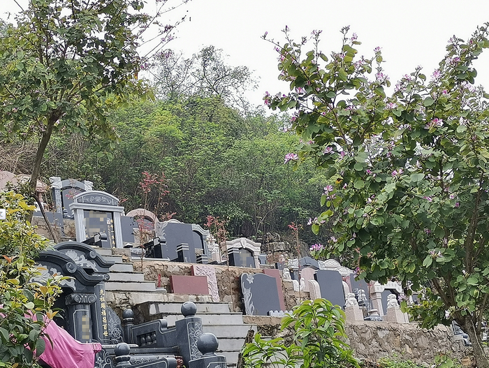 柳州人快看!月山公墓向特定人群赠送室内葬!还有这些重阳节惠民活动.