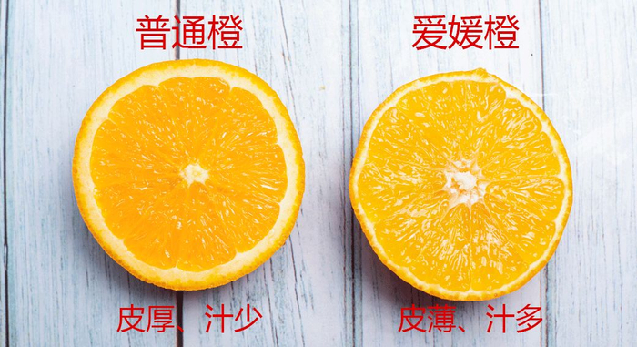 △爱媛橙完胜！