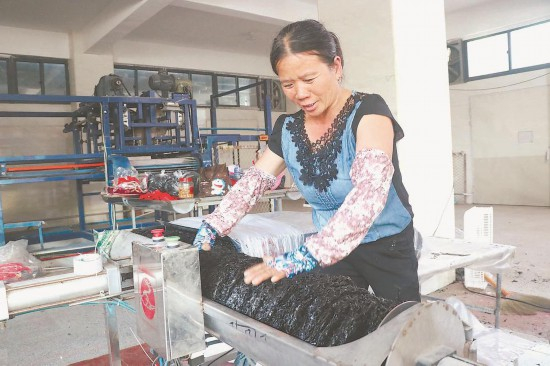 　在六鳌半岛，紫菜加工厂的工人在进行包装。 记者 于莉 摄