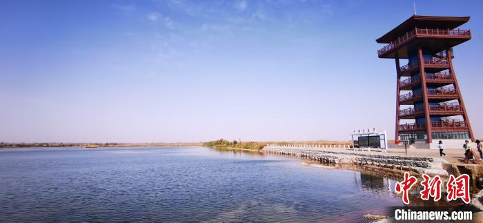 图为嘉峪关草湖国家湿地公园。(资料图) 魏建军 摄