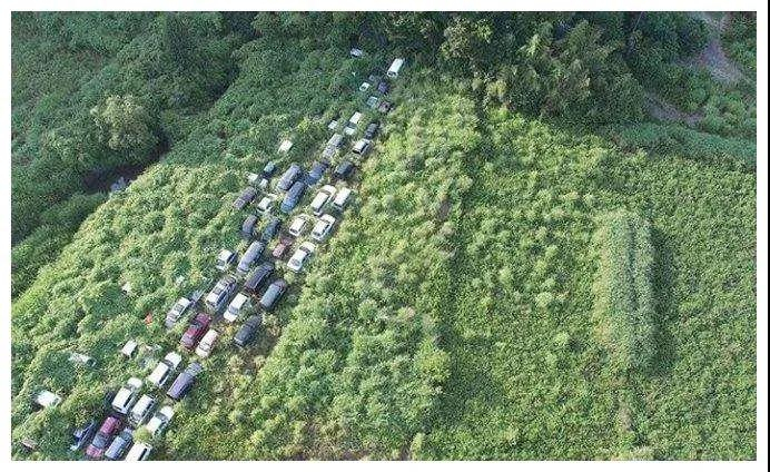 资料图来源：Rex