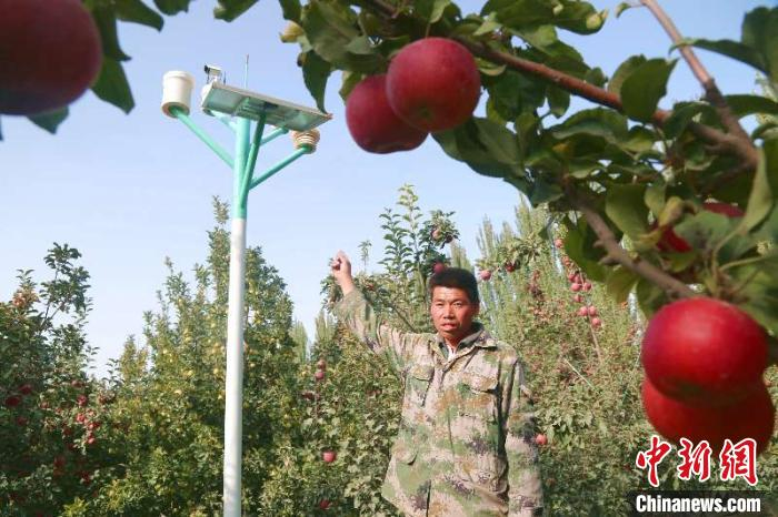 果农张立功介绍智能气象仪的好处。　秦雪珍 摄